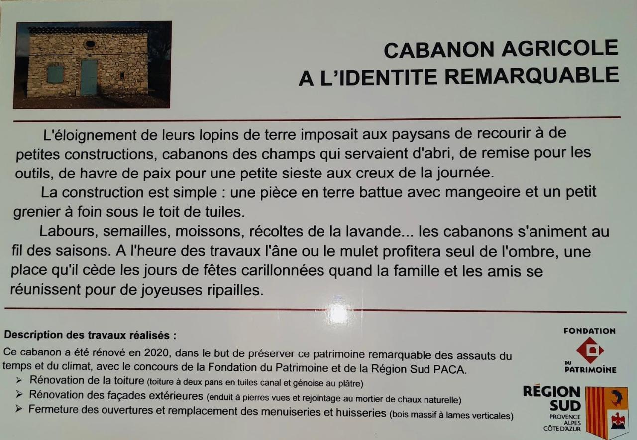Le Cabanon Des Lavandes Entre Mont Ventoux Et Luberon 萨路特德沃克吕兹 外观 照片